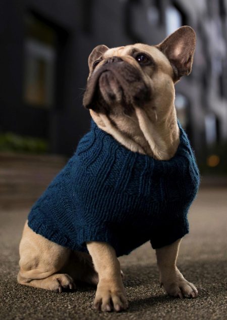 Bygenser til hund
