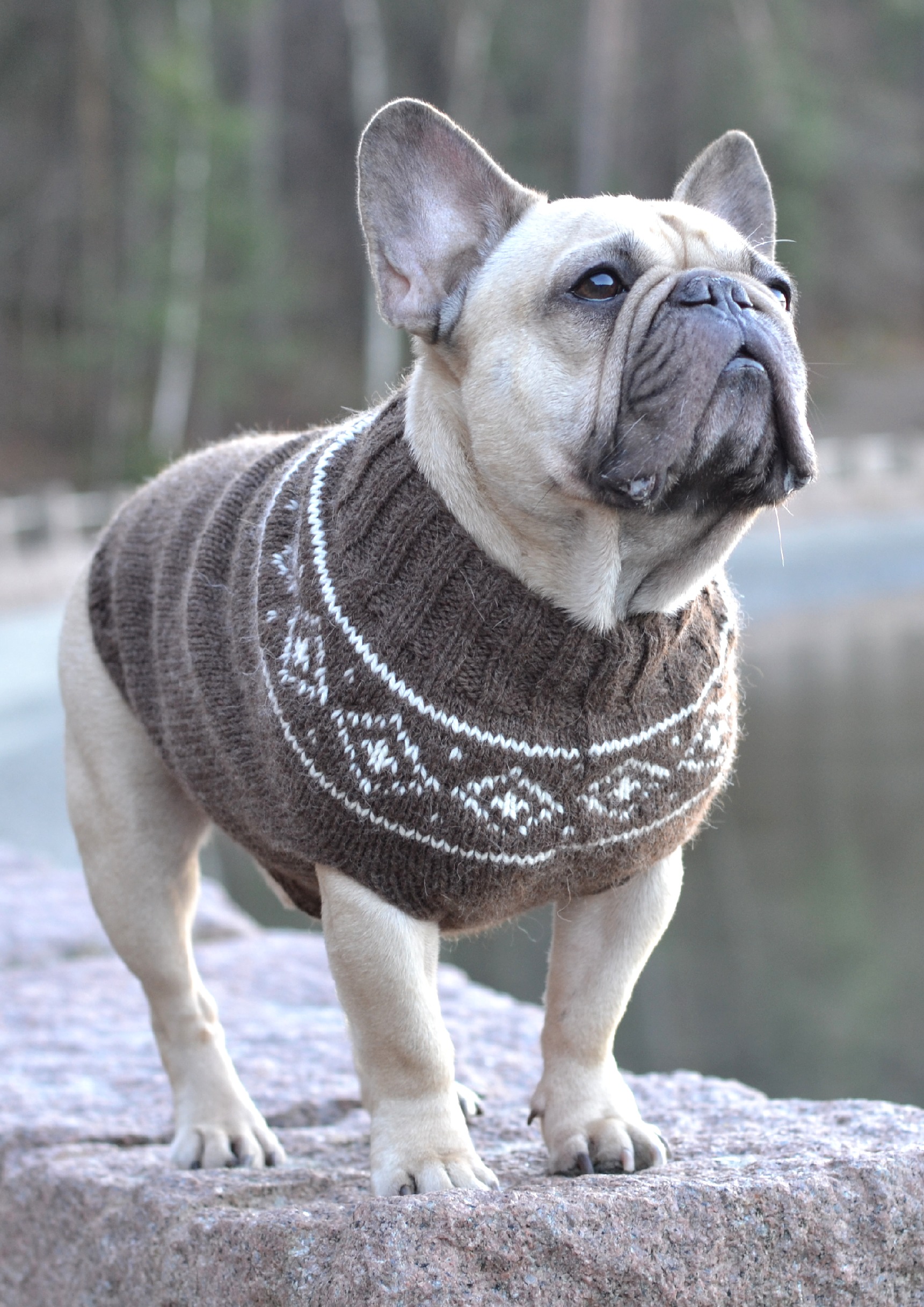 Snowygenser