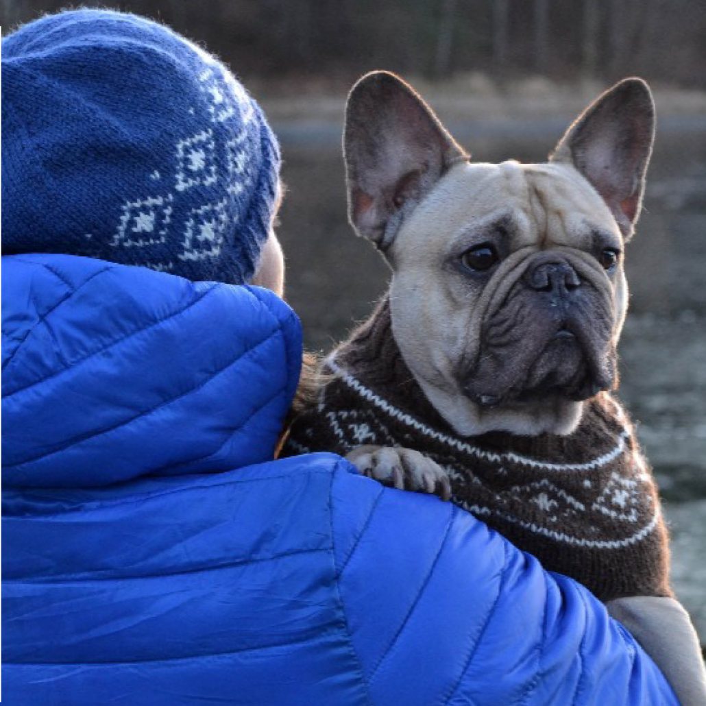 beskytt hunden din i kulda